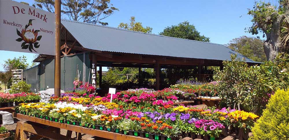 outeniqua farmers market