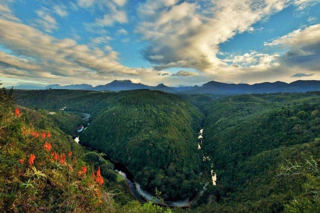 The history of the Wilderness