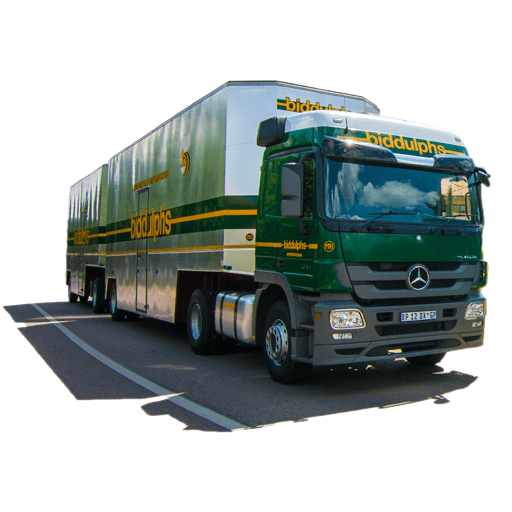 19642616 1358965977492706 5377360182059710766 n