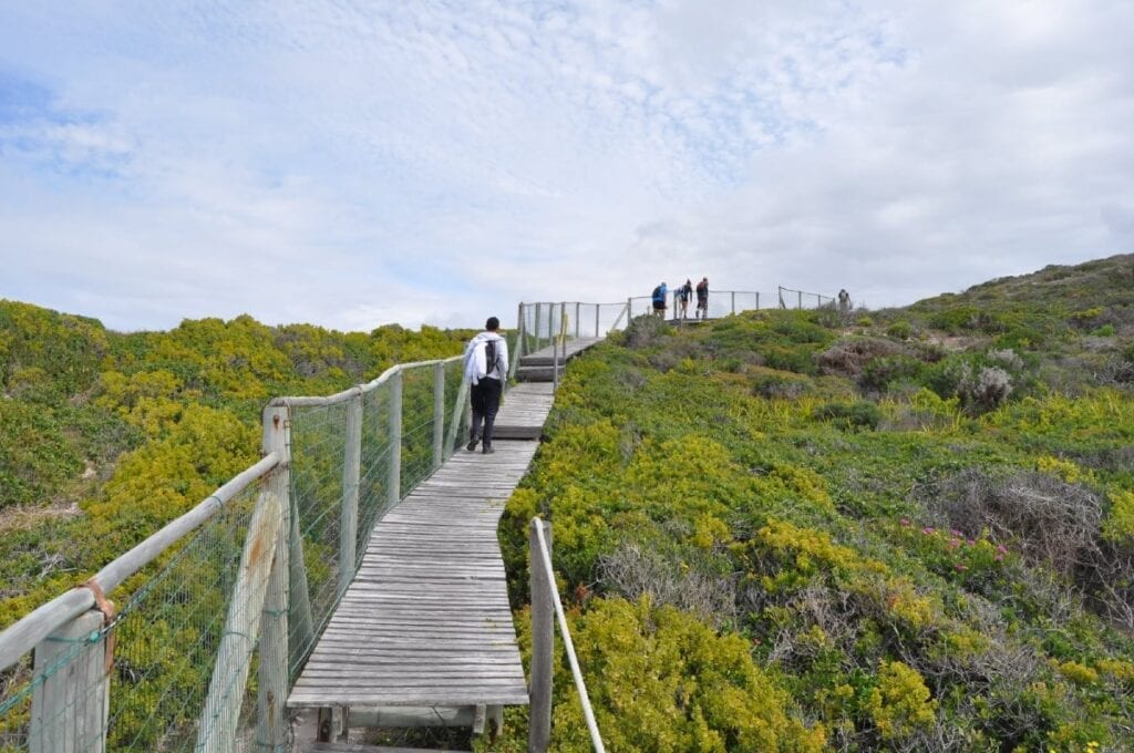 Go Vertical Mountaineering