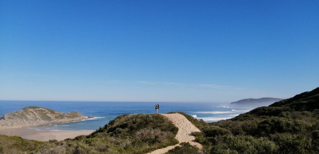 Go Vertical Mountaineering