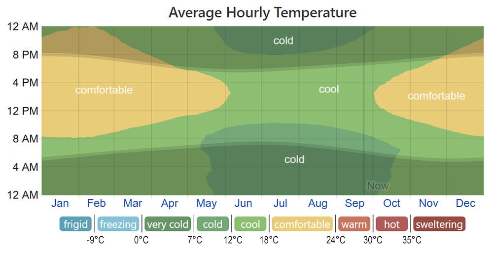 Average Hourly Temperature